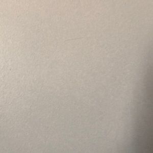 Meet your Posher, Marrina